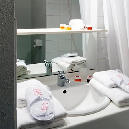 Sejours & Affaires Lamartine 3* פואטייה